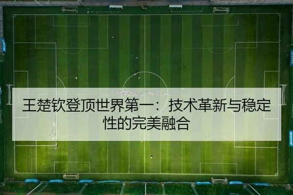王楚钦登顶世界第一：技术革新与稳定性的完美融合